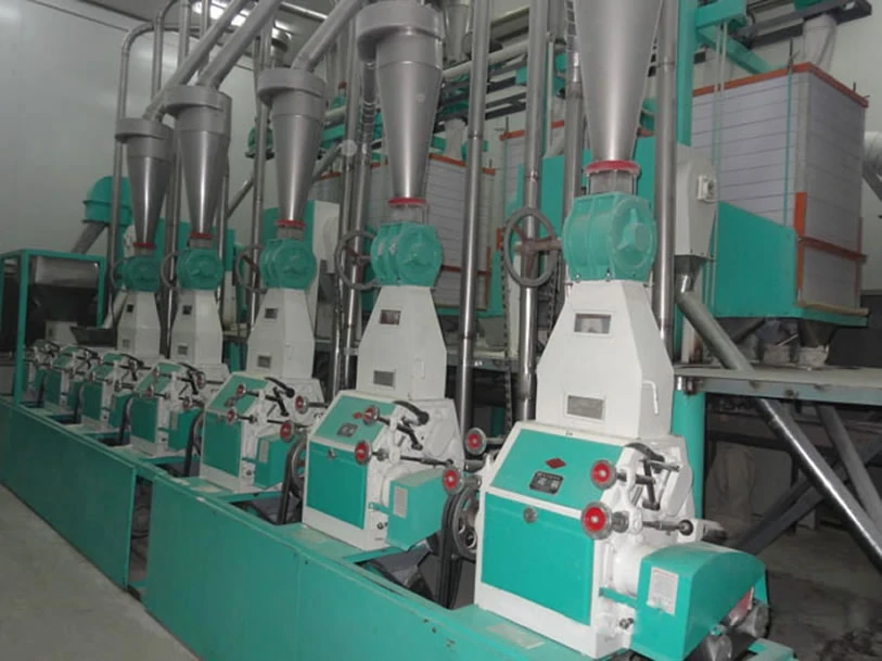 50 tpd automatic wheat flour mill plant
